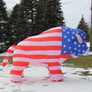 Med RW&B Buffalo Inflatable