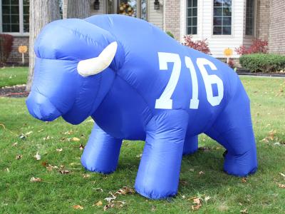 Med 716 Buffalo Inflatable