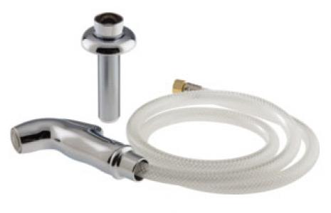 Delta Spray & Hose Assy