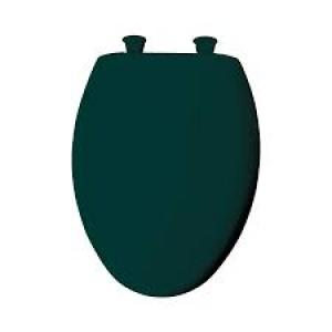 Teal Slow Close Toilet Seat