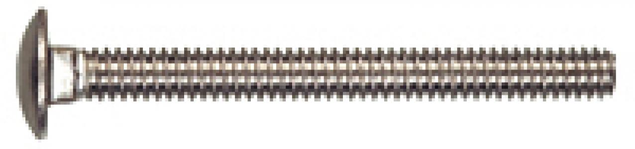 25Pk 1/4x4 SS Carriage Bolt