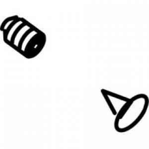 Moen Plug Button & Screw