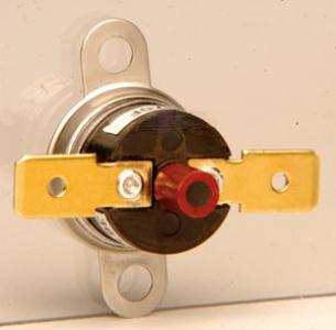Bradford White Thermal Switch