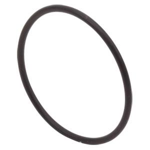Delta O-Ring