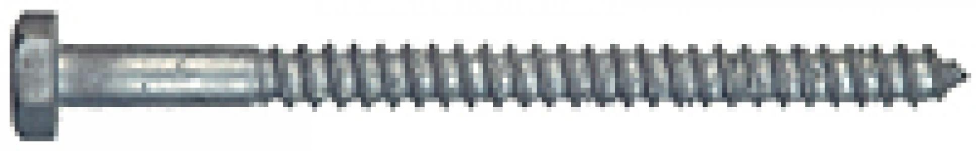 50Pk 5/16x5-1/2 Galv Lag Bolt