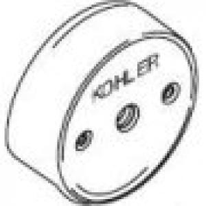 Kohler Turn Style Overflow Plate