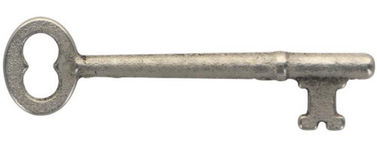 79B Skeleton Key