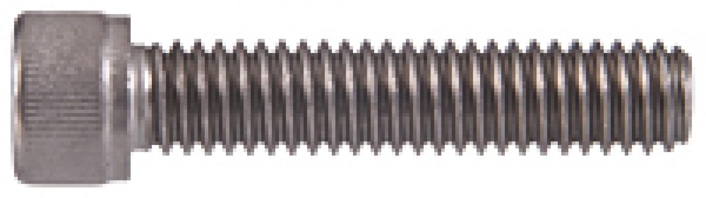 1/4-20x1/2 SS SH Cap Screw