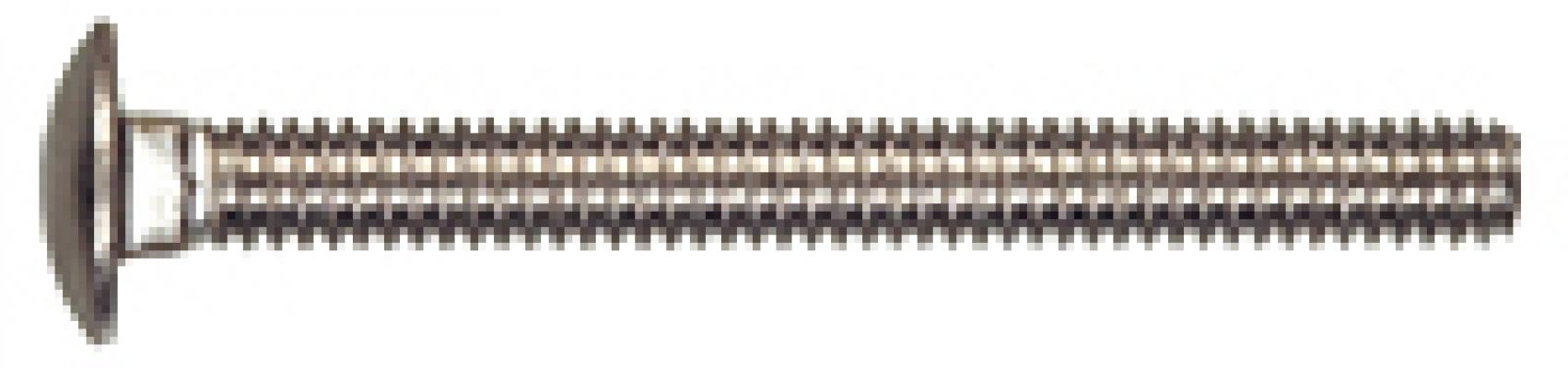 1/4x2-1/2 SS Carriage Bolt