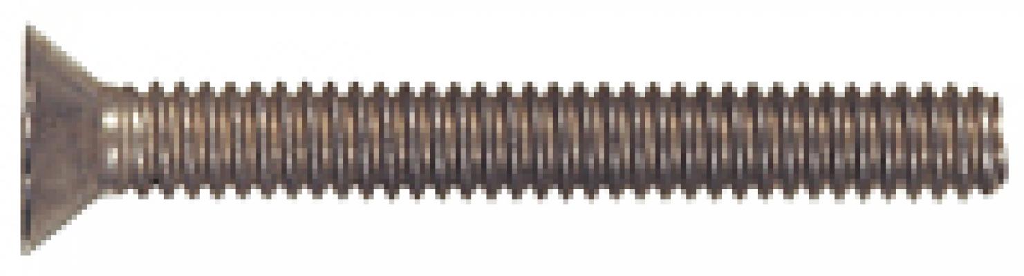 0/80x1/4 SS FH Machine Screw