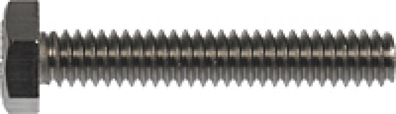 1/4-20x6 Full Thread SS Hex Bolt