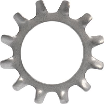 1/4" Extern Tooth SS Lock Washer