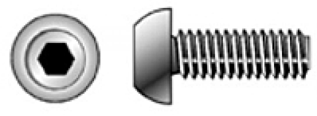 M3-0.50x6 SS BH Cap Screw