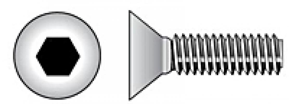 M3-0.50x12 SS FSH Machine Screw