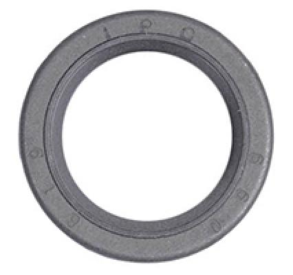 299819 B&S Oil Seal