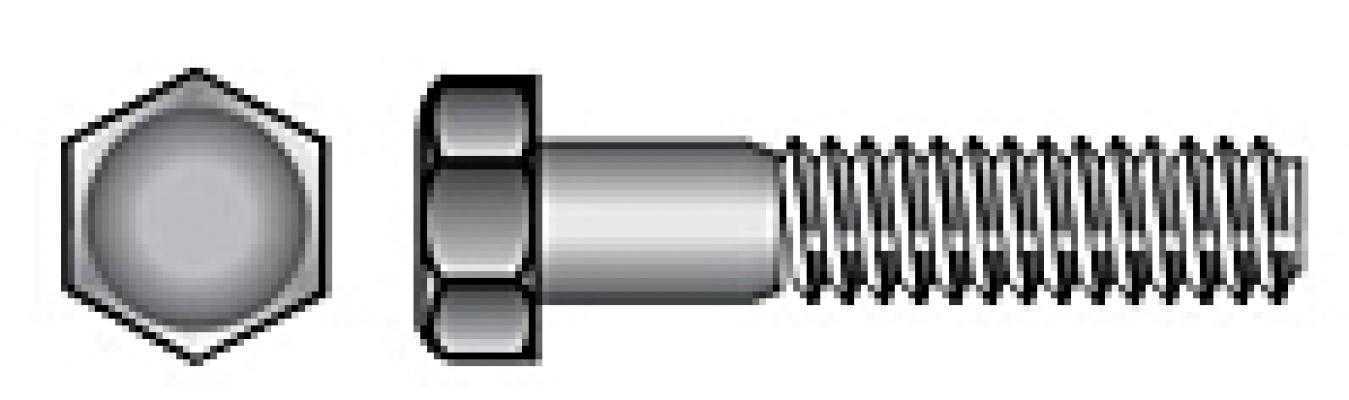 M10-1.50x20 SS Hex Cap Screw