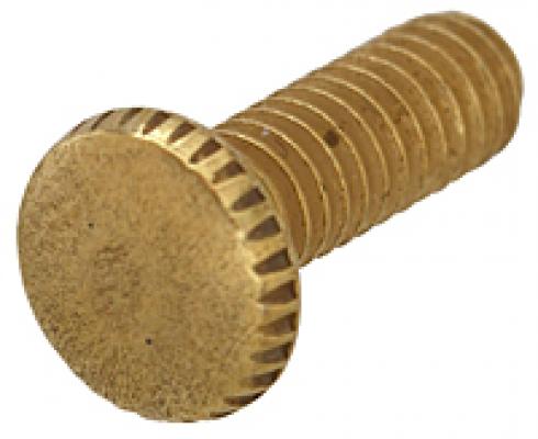 Brass Knurled Head Screw