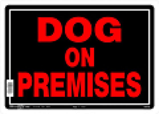 10x14 Alum Dog on Premise