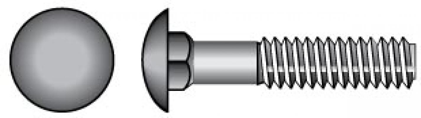 1/4-20x1 Chrome Carriage Bolt