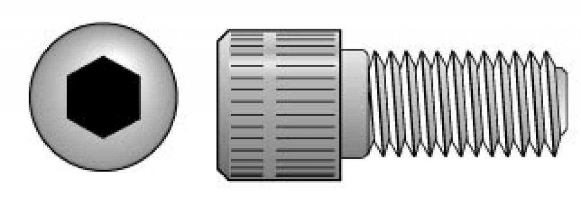 1/4-20x1/2 Chrome SH Cap Screw