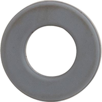 0009  T&S Seat Washer
