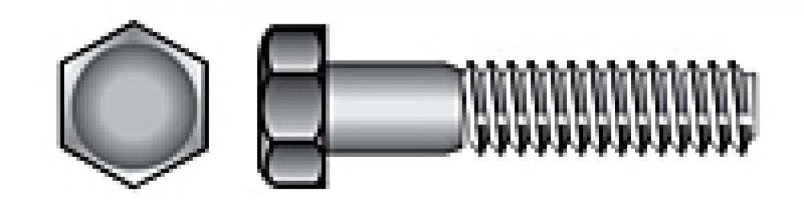 1/4-20x1 Chrome Hex Cap Screw