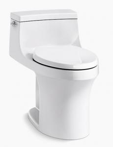 San Souci 1 Pc EB Toilet