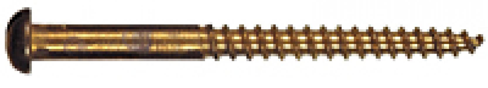 4x1/4 RH Wood Screw Brass