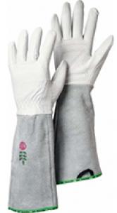 Size 9 Offwhite Rose Gloves