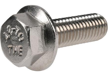 1/4-20x3/4 SS Flange Bolt