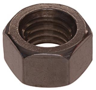 1/2-20 SS Hex Nut