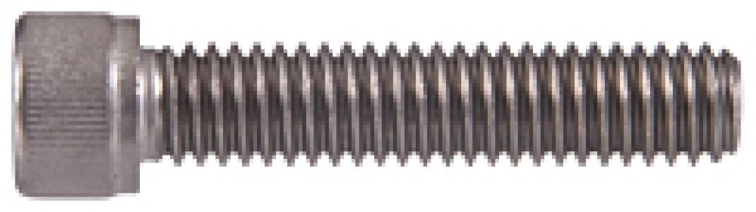 6-32x1/2 SS SH Cap Screw