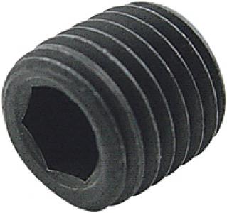 1/4" NPT Black Countersunk Plug