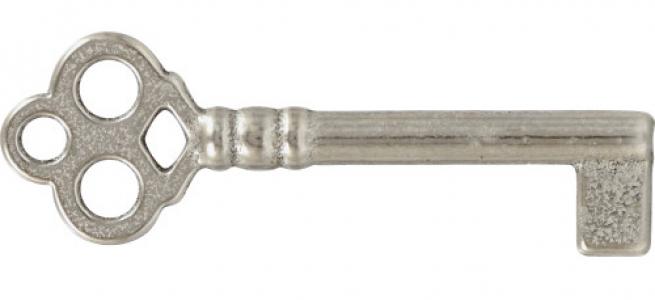 21B Skeleton Key Blank