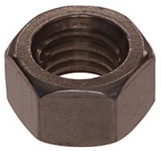 1/4-28  SS Hex Nut