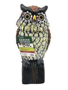 Bobble Head Owl