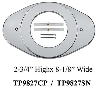 Satin Nickel Cover Plate